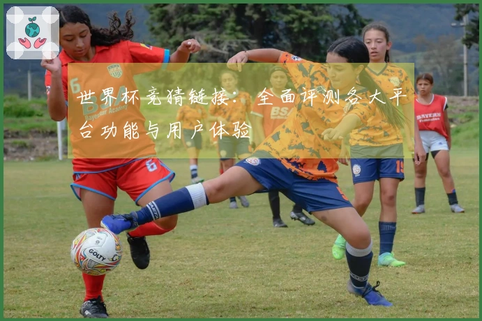 世界杯竞猜链接：全面评测各大平台功能与用户体验