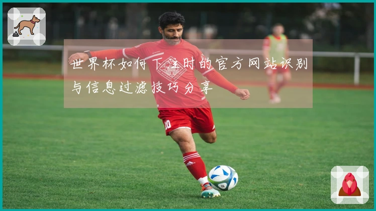 世界杯如何下注时的官方网站识别与信息过滤技巧分享