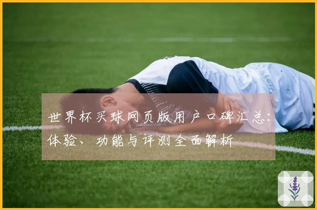 世界杯买球网页版用户口碑汇总：体验、功能与评测全面解析