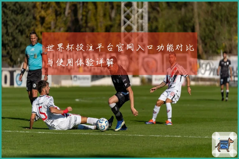 世界杯投注平台官网入口功能对比与使用体验详解