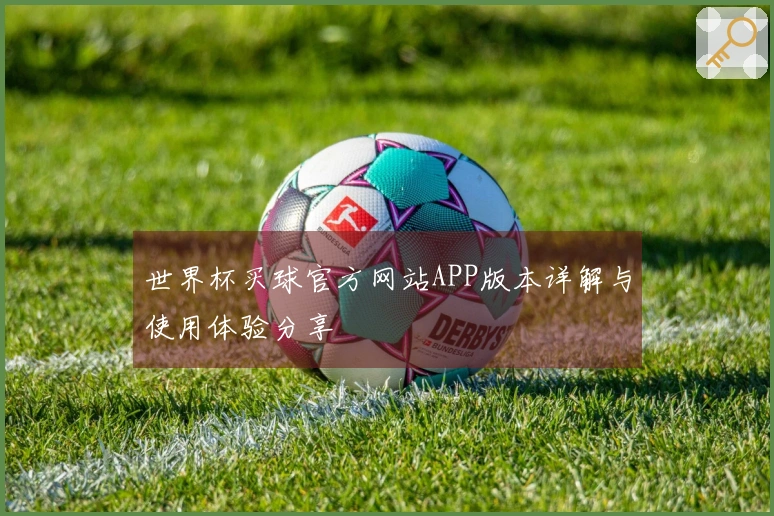 世界杯买球官方网站APP版本详解与使用体验分享