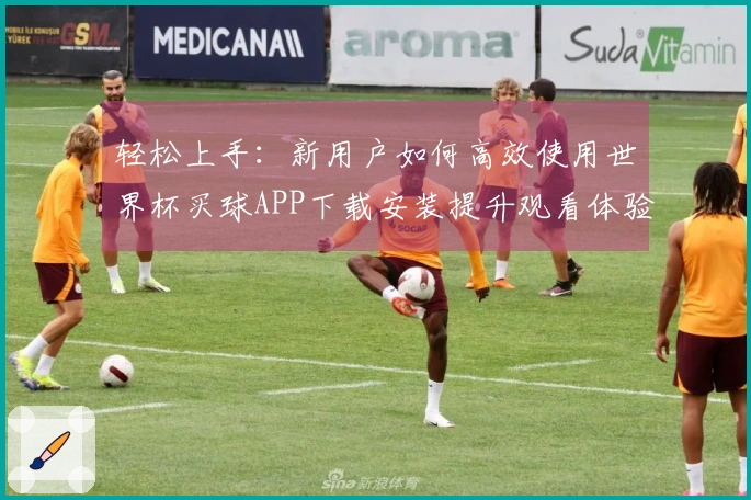 轻松上手：新用户如何高效使用世界杯买球APP下载安装提升观看体验