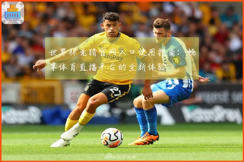 世界杯竞猜官网入口使用指南：畅享体育直播平台的全新体验